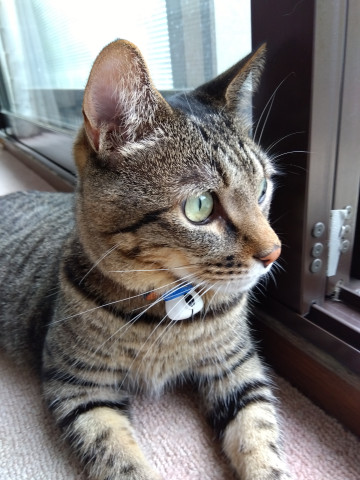 外は雨だなあ☔️