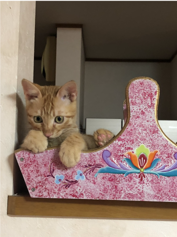 小さい時の僕　