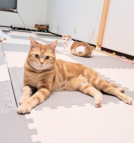 寂しくなったお部屋😢