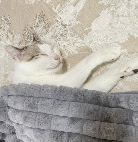 ぬくぬく✨✨✨