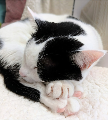 幸せなお手合わせ♡