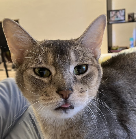 寝起き⭐️まだ寝ぼけてるかな🤭