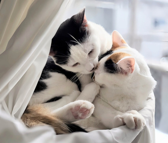 午後のやさしい時間。