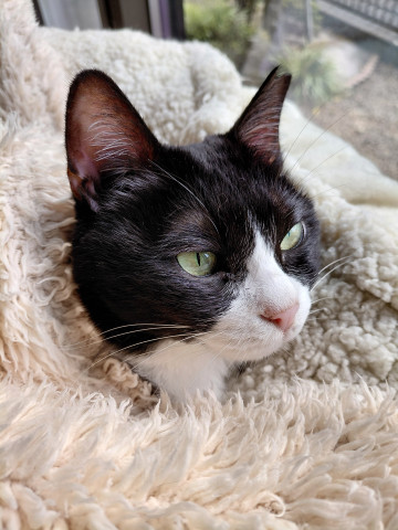 ぬくぬくと‥♪︎