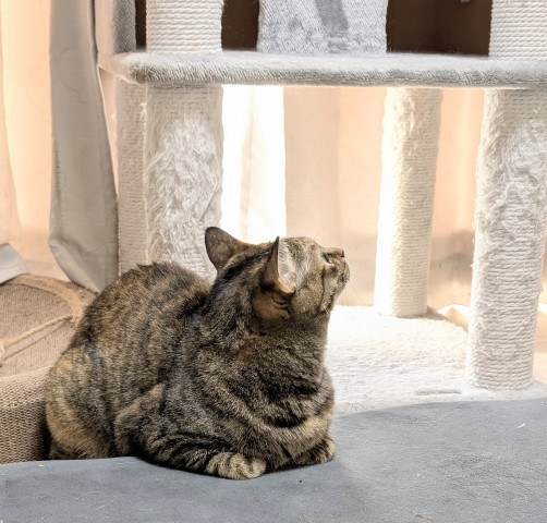 午後のひととき