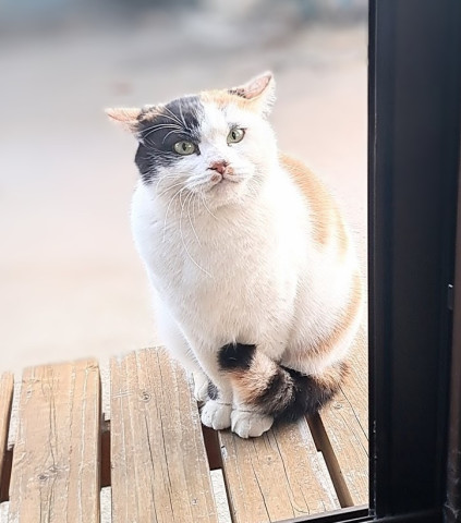 こんなに大きくなりました🤭