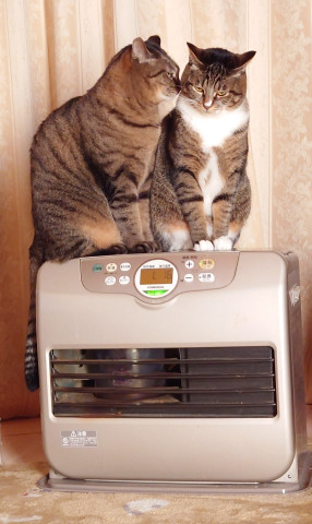 あったかぁ～い♪