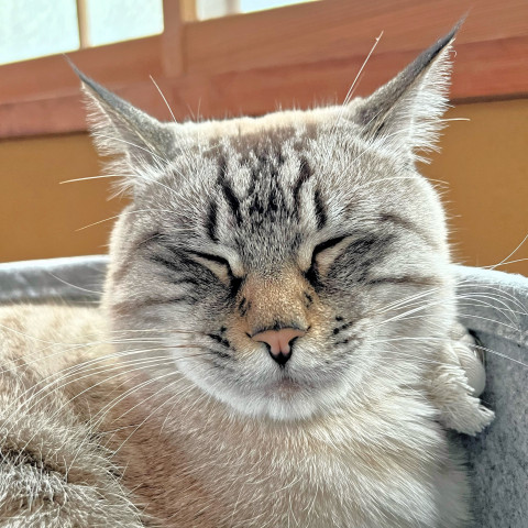 😽笑顔祭り2025😽②