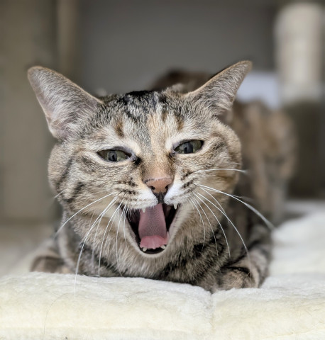 笑顔祭り   ナビ♡