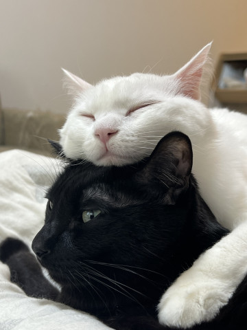 今でも仲良し✨️