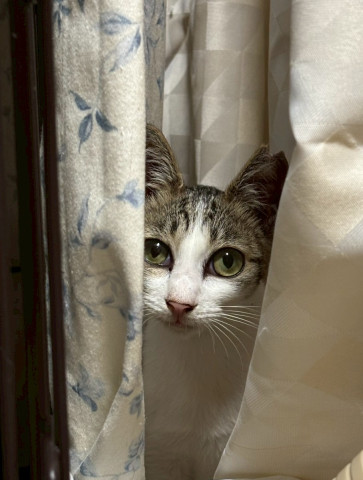 見つかっちゃいました👀