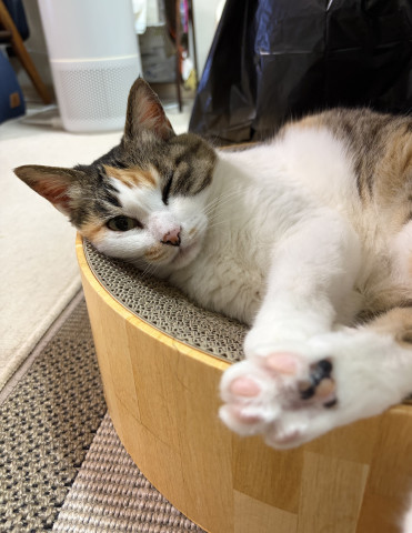 ウインク…じゃない