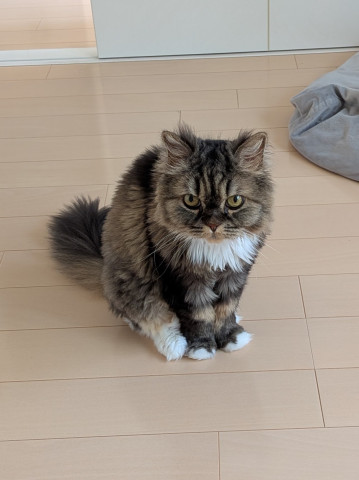 おやつ待ち