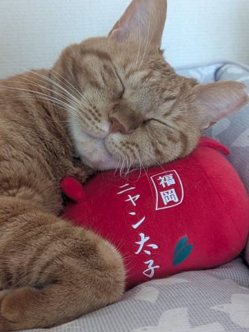 お気に入り♥