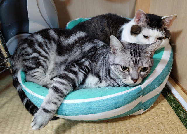 仲良し