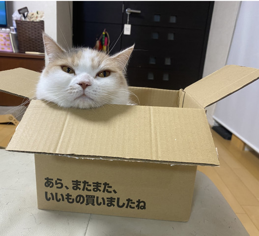 段ボールマニア　そなちゃん