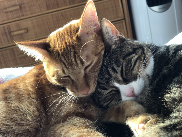 しあわせ❤︎