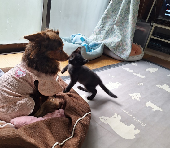 ご挨拶できた🐾
