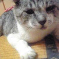 マー 会員画像