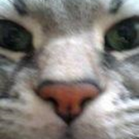 ららナンシー 会員画像