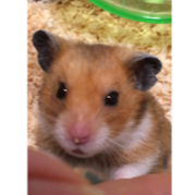 会員画像