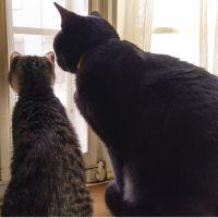 くるみとみるくさん