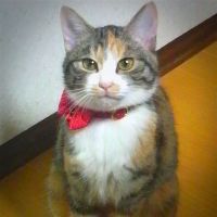 会員画像