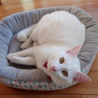 ugu2010 会員画像