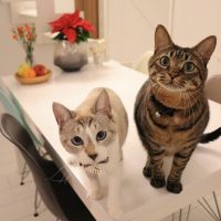 会員画像
