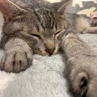 なごママ 会員画像