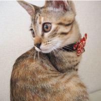 会員画像