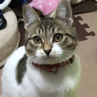 もぬみ 会員画像