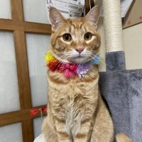 はらぺこ畑 会員画像