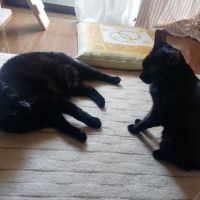 たかゆう 会員画像