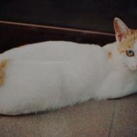 meko 会員画像