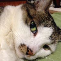 風ふう 会員画像