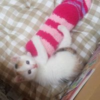 会員画像