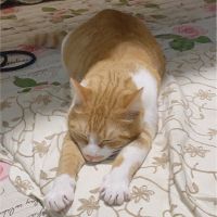 チビ&らゔさん