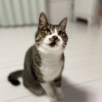 ゆっけぃ 会員画像