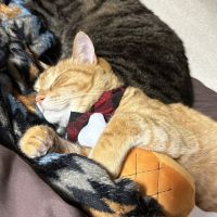 チャー&銀 会員画像