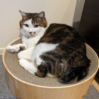 おふみさん 会員画像