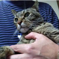 はね天 会員画像