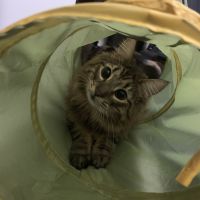 遼夜さん