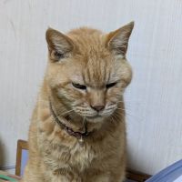 くまたんたさん