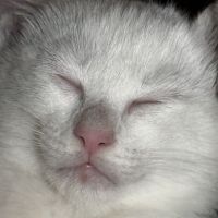 ちなつ11さん