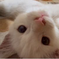 たやまるさん