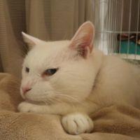 ジジのママ 会員画像