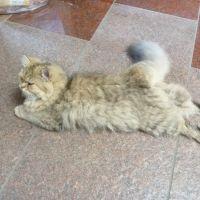 いそとも 会員画像