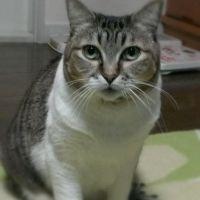 ミミ&ミュウ 会員画像