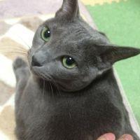 かずぷー 会員画像